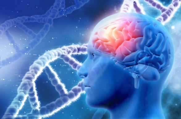 Is Oxytocin Safe for Research
